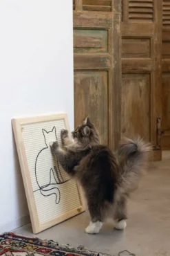 Designed By Lotte Hout Krabplank Sammy -Exporteren AvoDierenRuiter winkel Web 0409140 sfeer1