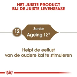 Royal Canin Kattenvoer Ageing 12+ 2 Kg -Exporteren AvoDierenRuiter winkel royal canin ageing 12plus senior kat oudere kat vanaf 12 jaar hero image 9