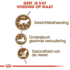 Royal Canin Kattenvoer Ageing Sterilised 12+4 Kg 6 Royal Canin Kattenvoer Ageing Sterilised 12+4 Kg -Exporteren AvoDierenRuiter winkel royal canin ageing sterilised 12plus senior kat oudere kat vanaf 12 jaar hero usp
