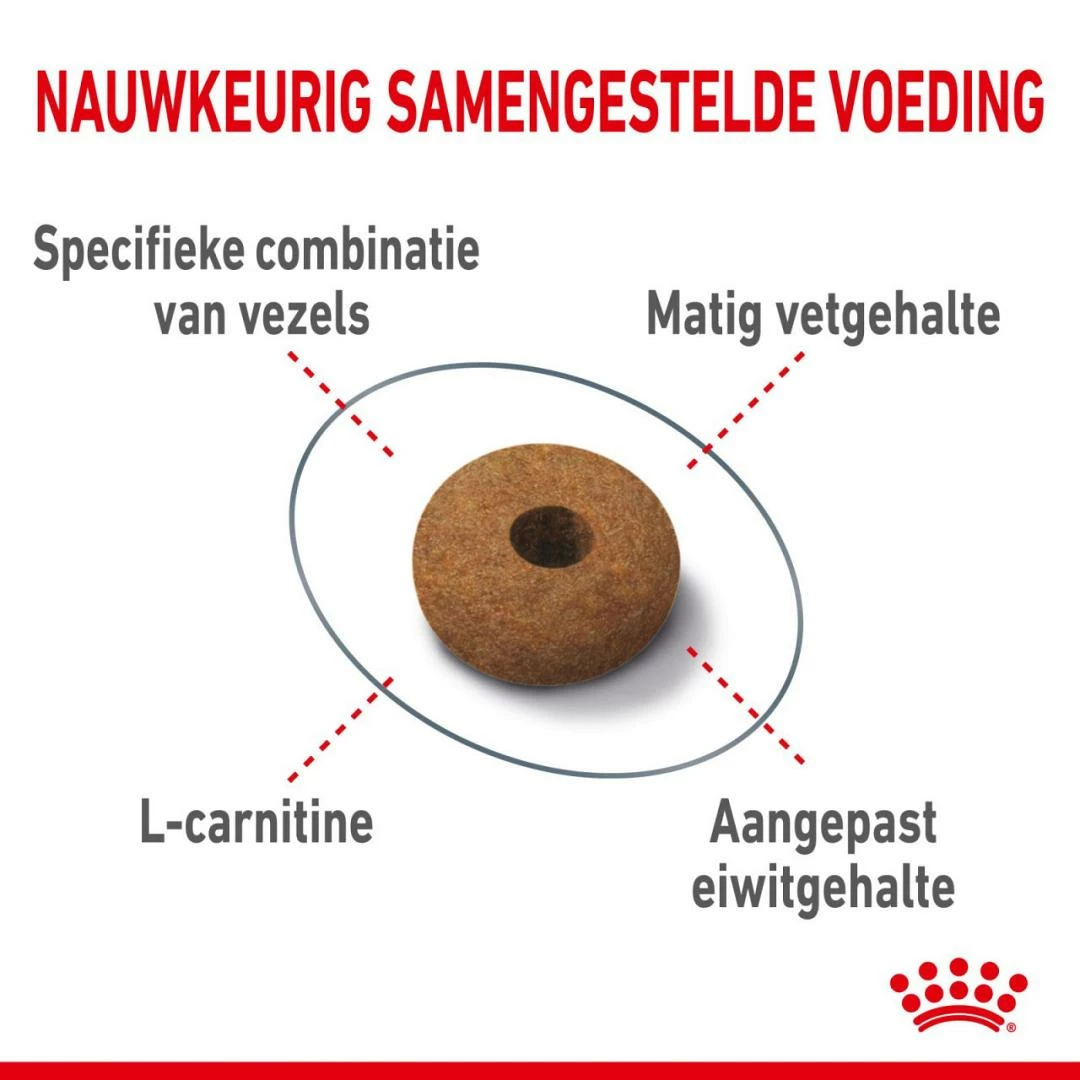 Royal Canin Kattenvoer Appetite Control Care 3,5 Kg 2 Royal Canin Kattenvoer Appetite Control Care 3,5 Kg - Afbeelding 2