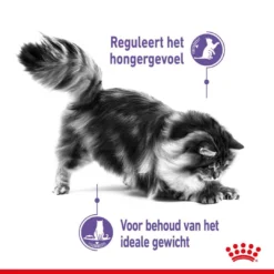 Royal Canin Kattenvoer Appetite Control Care 2 Kg 6 Royal Canin Kattenvoer Appetite Control Care 2 Kg -Exporteren AvoDierenRuiter winkel royal canin appetite control care gesteriliseerd volwassen kat bedelgedrag hero usp 1
