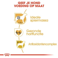 Royal Canin Hondenvoer Boxer Adult 3 Kg 5 Royal Canin Hondenvoer Boxer Adult 3 Kg -Exporteren AvoDierenRuiter winkel royal canin boxer adult volwassen hond boxer vanaf 15 maanden hero usp