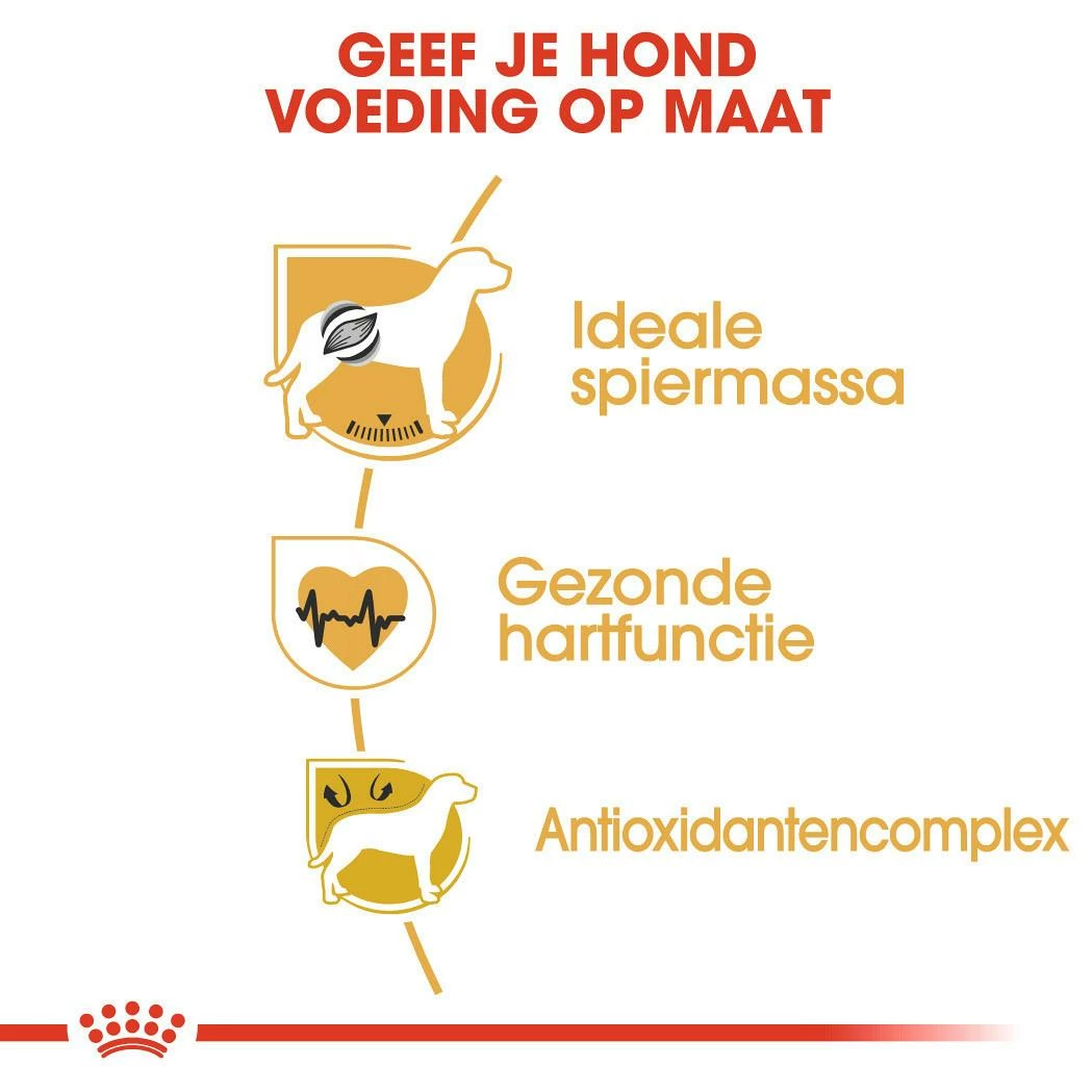 Royal Canin Hondenvoer Boxer Adult 3 Kg 3 Royal Canin Hondenvoer Boxer Adult 3 Kg - Afbeelding 3