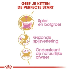 Royal Canin Kattenvoer British Shorthair Kitten 10 Kg -Exporteren AvoDierenRuiter winkel royal canin british shorthair kitten kitten kat brits korthaar hero usp
