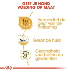 Royal Canin Hondenvoer Bulldog Adult 3 Kg 5 Royal Canin Hondenvoer Bulldog Adult 3 Kg -Exporteren AvoDierenRuiter winkel royal canin bulldog adult volwassen hond bulldog vanaf 12 maanden hero usp