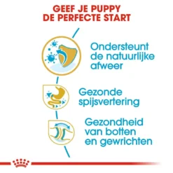 Royal Canin Hondenvoer Bulldog Puppy 12 Kg -Exporteren AvoDierenRuiter winkel royal canin bulldog junior pup hond bulldog hero usp