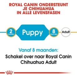 Royal Canin Hondenvoer Chihuahua Puppy 1,5 Kg -Exporteren AvoDierenRuiter winkel royal canin chihuahua junior pup hond chihuahua hero image 9