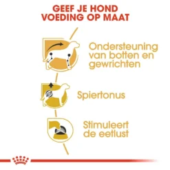Royal Canin Hondenvoer Dachs-hund Adult 12 X 85 Gr 7 Royal Canin Hondenvoer Dachs-hund Adult 12 X 85 Gr -Exporteren AvoDierenRuiter winkel royal canin dachshund adult natvoer volwassen hond teckel vanaf 10 maanden hero usp