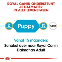 Royal Canin Hondenvoer Dalmatian Puppy 12 Kg 7 Royal Canin Hondenvoer Dalmatian Puppy 12 Kg -Exporteren AvoDierenRuiter winkel royal canin dalmatian junior pup hond dalmatier hero image 9