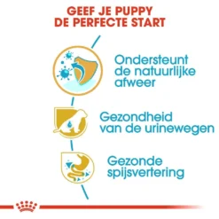 Royal Canin Hondenvoer Dalmatian Puppy 12 Kg 6 Royal Canin Hondenvoer Dalmatian Puppy 12 Kg -Exporteren AvoDierenRuiter winkel royal canin dalmatian junior pup hond dalmatier hero usp
