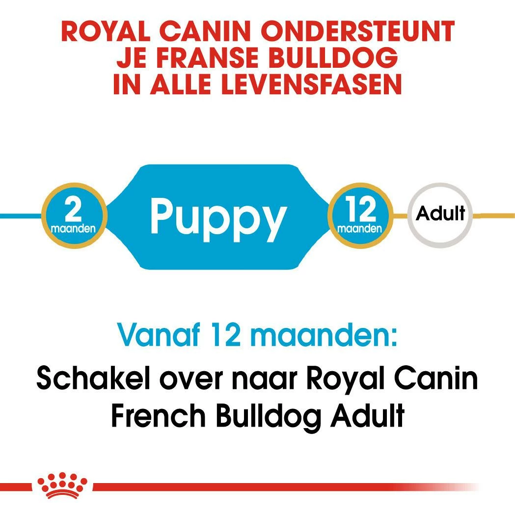 Royal Canin Hondenvoer French Bulldog Puppy 10 Kg 4 Royal Canin Hondenvoer French Bulldog Puppy 10 Kg - Afbeelding 4