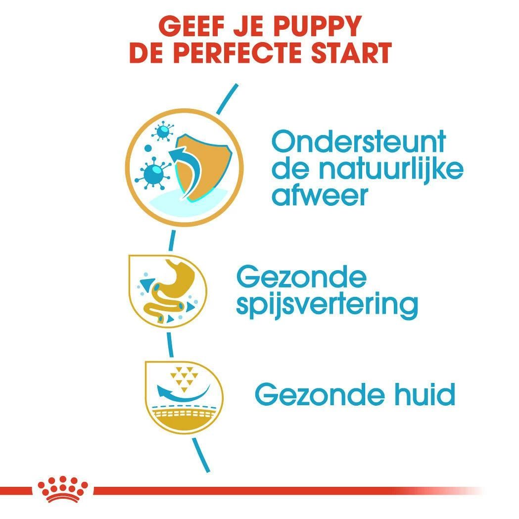 Royal Canin Hondenvoer French Bulldog Puppy 10 Kg 3 Royal Canin Hondenvoer French Bulldog Puppy 10 Kg - Afbeelding 3