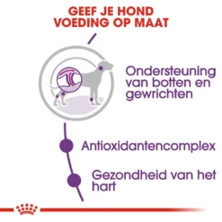 Royal Canin Hondenvoer Giant Adult 4 Kg -Exporteren AvoDierenRuiter winkel royal canin giant adult volwassen hond zeer grote hondenrassen hero usp