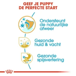 Royal Canin Hondenvoer Golden Retriever Puppy 12 Kg -Exporteren AvoDierenRuiter winkel royal canin golden retriever junior pup hond golden retriever hero usp