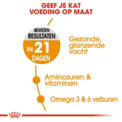 Royal Canin Kattenvoer Hair & Skin Care 2 Kg -Exporteren AvoDierenRuiter winkel royal canin hair skin care volwassen kat vacht en huid hero usp 1