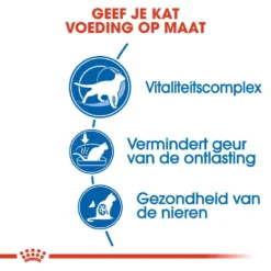 Royal Canin Kattenvoer Indoor 7+ 1,5 Kg 6 Royal Canin Kattenvoer Indoor 7+ 1,5 Kg -Exporteren AvoDierenRuiter winkel royal canin indoor 7plus volwassen kat binnenkatten vanaf 7 jaar hero usp