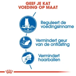 Royal Canin Kattenvoer Indoor Appetite Control 2 Kg 5 Royal Canin Kattenvoer Indoor Appetite Control 2 Kg -Exporteren AvoDierenRuiter winkel royal canin indoor appetite control volwassen kat verzadigd gevoel binnenkat hero usp