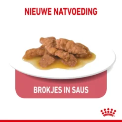 Royal Canin Kattenvoer Indoor 7+ In Gravy 12 X 85 Gr -Exporteren AvoDierenRuiter winkel royal canin indoor sterilised 7plus gravy volwassen kat binnenkatten hero kibble