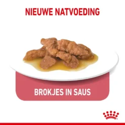 Royal Canin Kattenvoer Indoor In Gravy 12 X 85 Gr -Exporteren AvoDierenRuiter winkel royal canin indoor sterilised gravy volwassen kat binnenkatten hero kibble