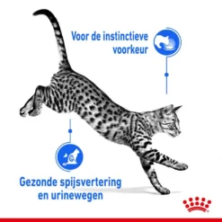 Royal Canin Kattenvoer Indoor 7+ In Gravy 12 X 85 Gr -Exporteren AvoDierenRuiter winkel royal canin indoor sterilised gravy volwassen kat binnenkatten hero usp 1