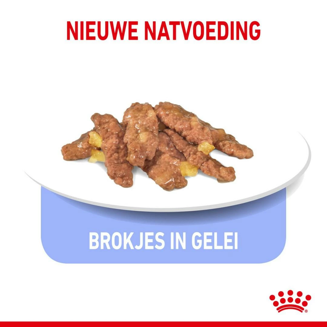 Royal Canin Kattenvoer Indoor In Jelly 12 X 85 Gr 3 Royal Canin Kattenvoer Indoor In Jelly 12 X 85 Gr - Afbeelding 3