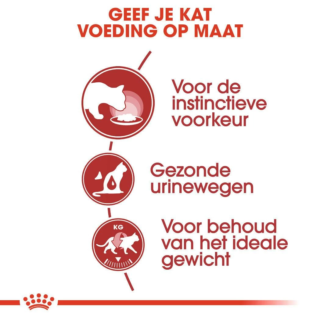 Royal Canin Kattenvoer Instinctive In Jelly 12 X 85 Gr 4 Royal Canin Kattenvoer Instinctive In Jelly 12 X 85 Gr - Afbeelding 4