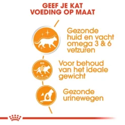Royal Canin Kattenvoer Intense Beauty In Gravy 12 X 85 Gr 7 Royal Canin Kattenvoer Intense Beauty In Gravy 12 X 85 Gr -Exporteren AvoDierenRuiter winkel royal canin intense beauty in gravy volwassen kat vacht en huid hero usp