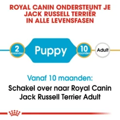 Royal Canin Hondenvoer Jack Russell Puppy 3 Kg -Exporteren AvoDierenRuiter winkel royal canin jack russell terrier junior pup hond jack russell terrier hero image 9