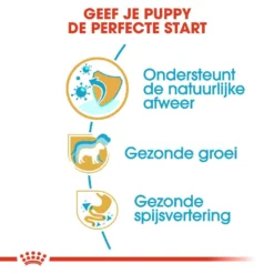 Royal Canin Hondenvoer Jack Russell Puppy 3 Kg -Exporteren AvoDierenRuiter winkel royal canin jack russell terrier junior pup hond jack russell terrier hero usp