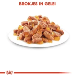Royal Canin Kattenvoer Kitten In Jelly 12 X 85 Gr 6 Royal Canin Kattenvoer Kitten In Jelly 12 X 85 Gr -Exporteren AvoDierenRuiter winkel royal canin kitten in jelly kitten kat groeifase hero kibble