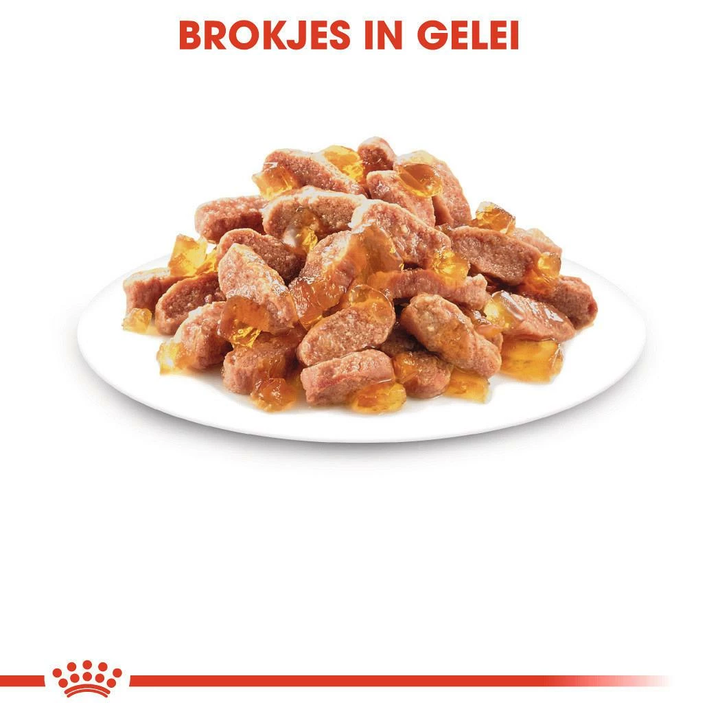 Royal Canin Kattenvoer Kitten In Jelly 12 X 85 Gr 3 Royal Canin Kattenvoer Kitten In Jelly 12 X 85 Gr - Afbeelding 3