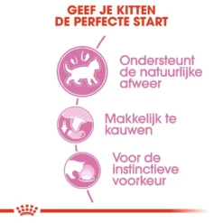 Royal Canin Kattenvoer Kitten In Jelly 12 X 85 Gr 7 Royal Canin Kattenvoer Kitten In Jelly 12 X 85 Gr -Exporteren AvoDierenRuiter winkel royal canin kitten in jelly kitten kat groeifase hero usp
