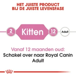 Royal Canin Kattenvoer Kitten 10 Kg 7 Royal Canin Kattenvoer Kitten 10 Kg -Exporteren AvoDierenRuiter winkel royal canin kitten kitten kat groeifase hero image 8