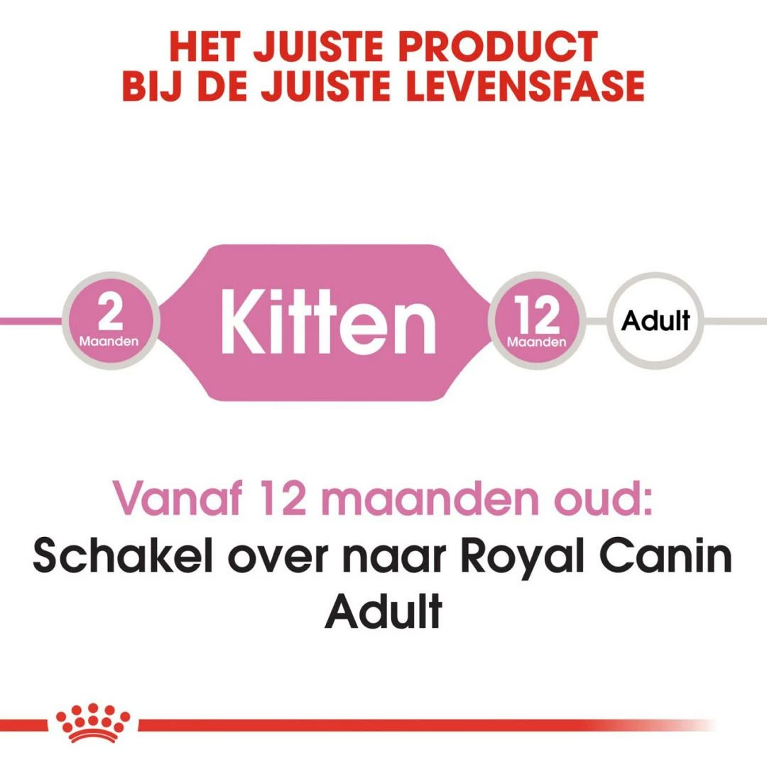 Royal Canin Kattenvoer Kitten 10 Kg 4 Royal Canin Kattenvoer Kitten 10 Kg - Afbeelding 4