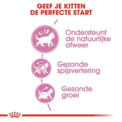 Royal Canin Kattenvoer Kitten 10 Kg 6 Royal Canin Kattenvoer Kitten 10 Kg -Exporteren AvoDierenRuiter winkel royal canin kitten kitten kat groeifase hero usp