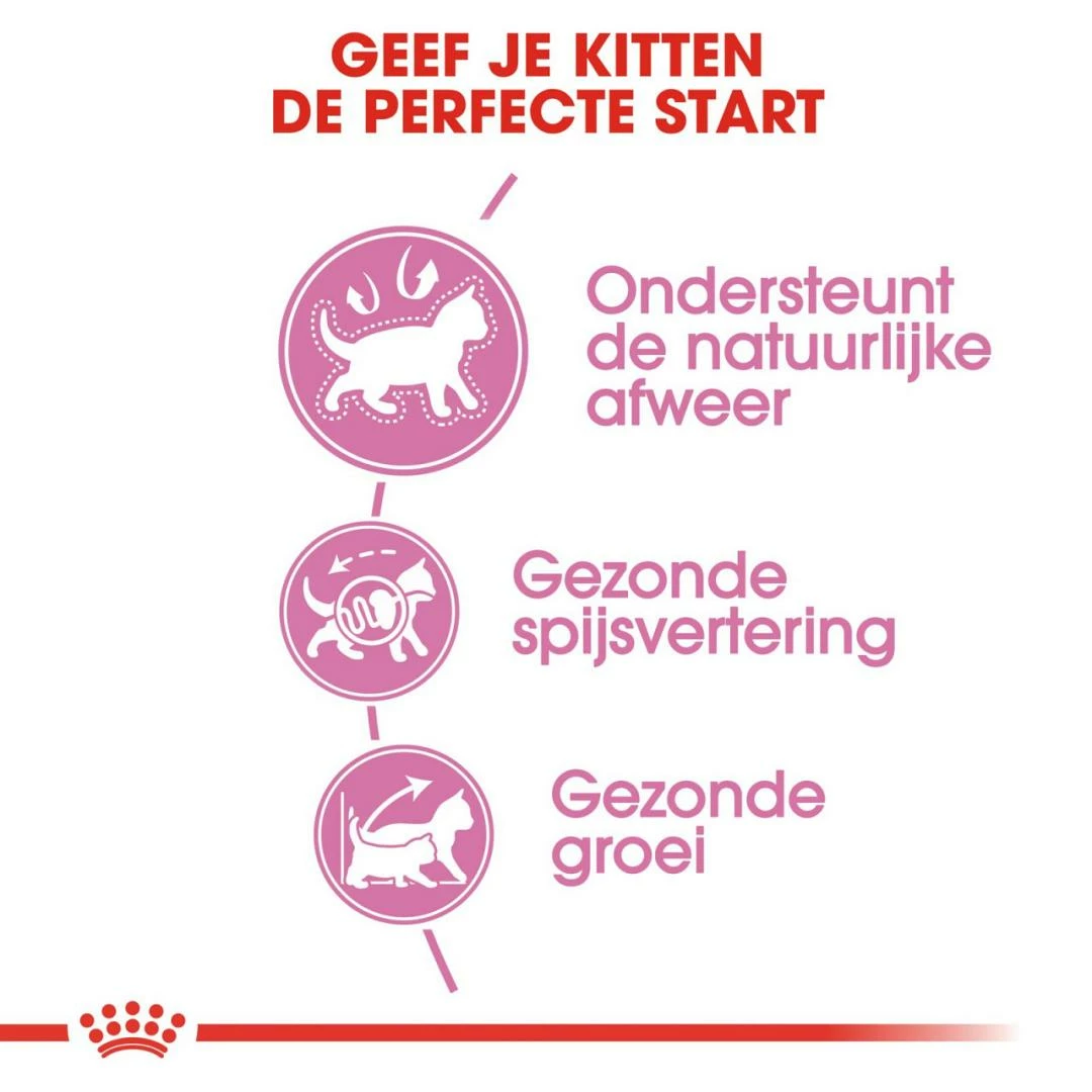 Royal Canin Kattenvoer Kitten 10 Kg 3 Royal Canin Kattenvoer Kitten 10 Kg - Afbeelding 3