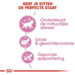 Royal Canin Kattenvoer Kitten Sterilised 3,5 Kg -Exporteren AvoDierenRuiter winkel royal canin kitten sterilised kitten kat castratie sterilisatie hero usp
