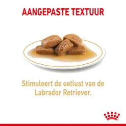 Royal Canin Hondenvoer Labrador Adult 10 X 140 Gr -Exporteren AvoDierenRuiter winkel royal canin labrador retriever adult natvoer volwassen hond labrador vanaf 15 maanden hero kibble