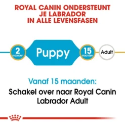 Royal Canin Hondenvoer Labrador Retriever Puppy 3 Kg -Exporteren AvoDierenRuiter winkel royal canin labrador retriever junior pup hond labrador retriever hero image 9
