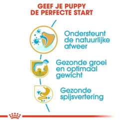 Royal Canin Hondenvoer Labrador Retriever Puppy 3 Kg -Exporteren AvoDierenRuiter winkel royal canin labrador retriever junior pup hond labrador retriever hero usp