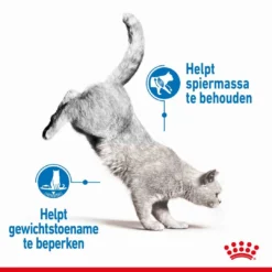 Royal Canin Kattenvoer Ultra Light Jelly 12 X 85 Gr -Exporteren AvoDierenRuiter winkel royal canin light weight care in jelly volwassen kat preventie overgewicht hero usp