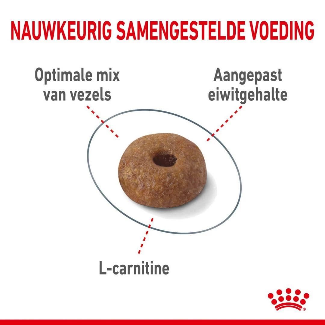 Royal Canin Kattenvoer Light Weight Care 1,5 Kg 2 Royal Canin Kattenvoer Light Weight Care 1,5 Kg - Afbeelding 2