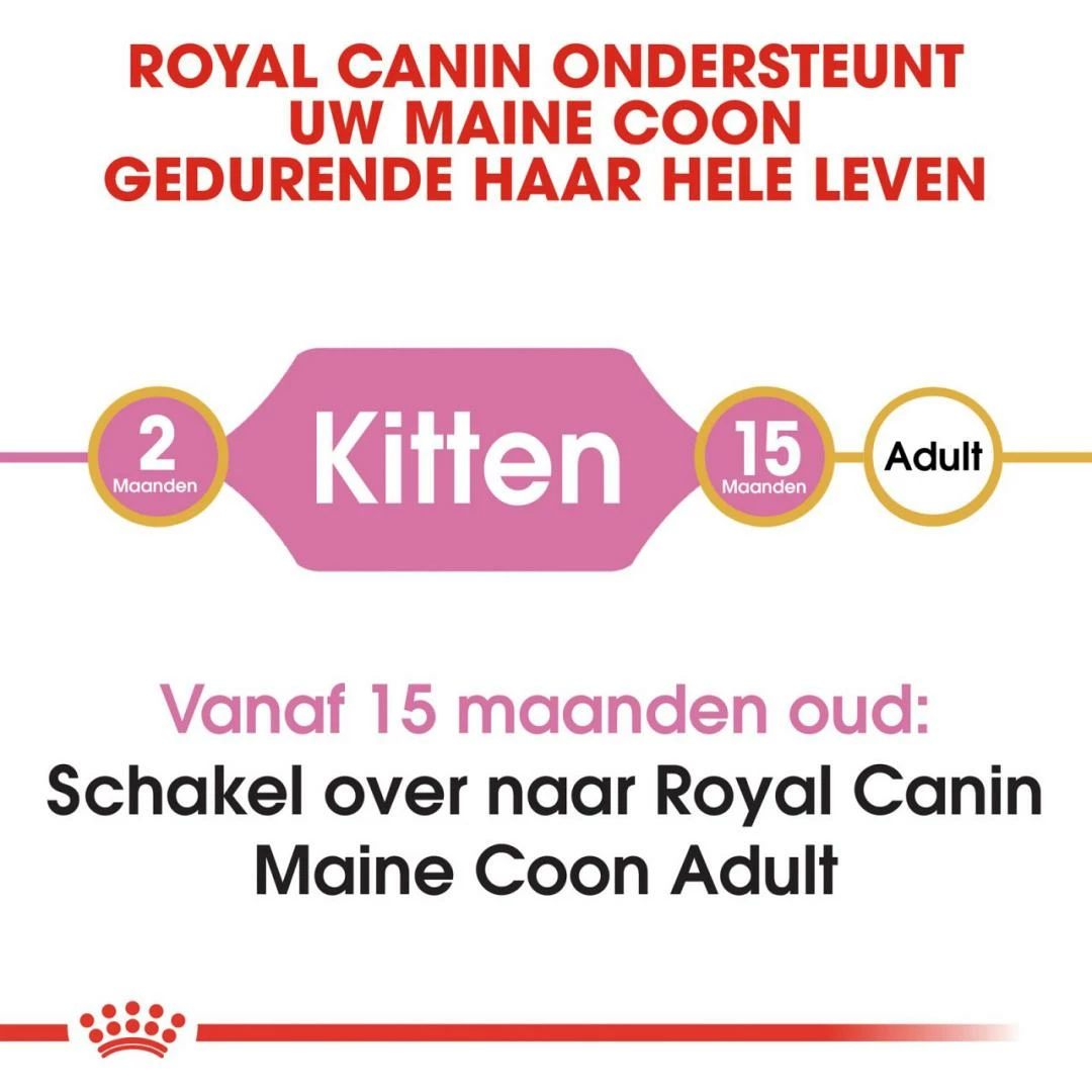 Royal Canin Kattenvoer Maine Coon Kitten 10 Kg 4 Royal Canin Kattenvoer Maine Coon Kitten 10 Kg - Afbeelding 4