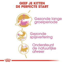 Royal Canin Kattenvoer Maine Coon Kitten 10 Kg 6 Royal Canin Kattenvoer Maine Coon Kitten 10 Kg -Exporteren AvoDierenRuiter winkel royal canin maine coon kitten kitten kat maine coon hero usp 2