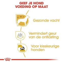 Royal Canin Hondenvoer Maltese Adult 1,5 Kg -Exporteren AvoDierenRuiter winkel royal canin maltese adult volwassen hond maltezer vanaf 10 maanden hero usp