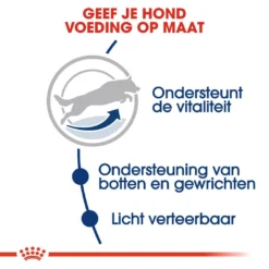 Royal Canin Hondenvoer Maxi Adult 5+ 15 Kg 6 Royal Canin Hondenvoer Maxi Adult 5+ 15 Kg -Exporteren AvoDierenRuiter winkel royal canin maxi adult 5plus volwassen hond grote hondenrassen vanaf 5 jaar hero usp