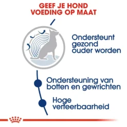 Royal Canin Hondenvoer Maxi Ageing 8+ 15 Kg -Exporteren AvoDierenRuiter winkel royal canin maxi ageing 8plus senior hond oudere hond vanaf 8 jaar hero usp