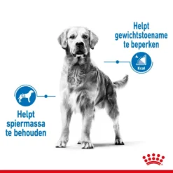 Royal Canin Hondenvoer Light Weight Care Maxi 3 Kg 6 Royal Canin Hondenvoer Light Weight Care Maxi 3 Kg -Exporteren AvoDierenRuiter winkel royal canin maxi light weight care volwassen hond grote hondenrassen hero image 8