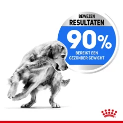 Royal Canin Hondenvoer Light Weight Care Maxi 3 Kg 7 Royal Canin Hondenvoer Light Weight Care Maxi 3 Kg -Exporteren AvoDierenRuiter winkel royal canin maxi light weight care volwassen hond grote hondenrassen hero usp