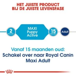 Royal Canin Hondenvoer Maxi Puppy Active 15 Kg 7 Royal Canin Hondenvoer Maxi Puppy Active 15 Kg -Exporteren AvoDierenRuiter winkel royal canin maxi puppy active pup hond grote hondenrassen hero image 8